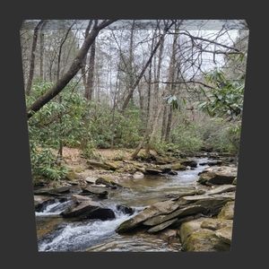 Canvas creek photo
